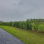 In Netherlands With Furnished Terrace Дом отдыха Оирсхот