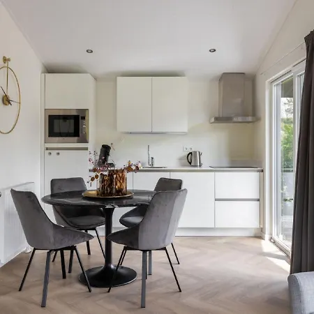 Lodge In Netherlands With Furnished Terrace 別荘 オイルスコート