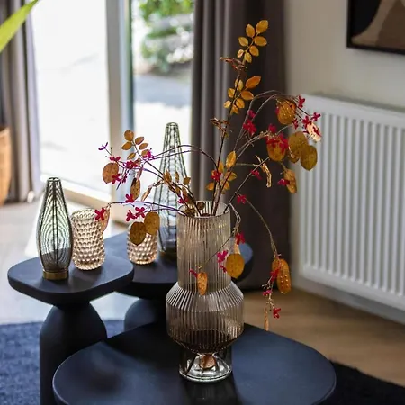 別荘 Lodge In Netherlands With Furnished Terrace オイルスコート