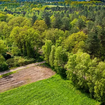 Lodge In Netherlands With Furnished Terrace 別荘 オイルスコート