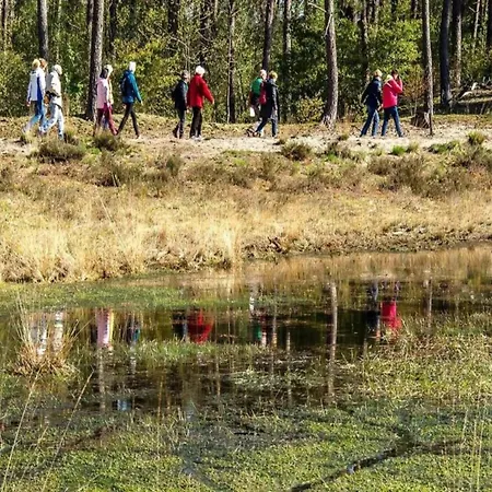 Lodge In Netherlands With Furnished Terrace 別荘 *