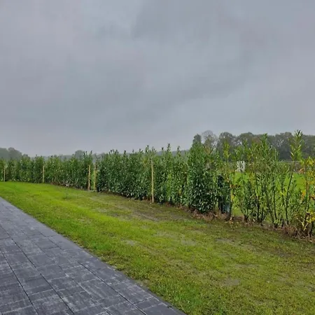 In Netherlands With Furnished Terrace Dom wakacyjny Oirschot