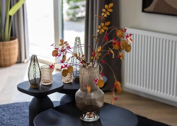 In Netherlands With Furnished Terrace Dom wakacyjny *