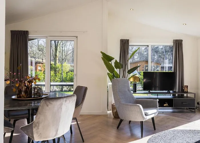 In Netherlands With Furnished Terrace *