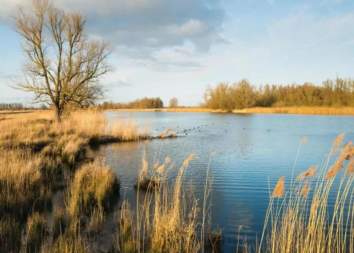 In Netherlands With Furnished Terrace *