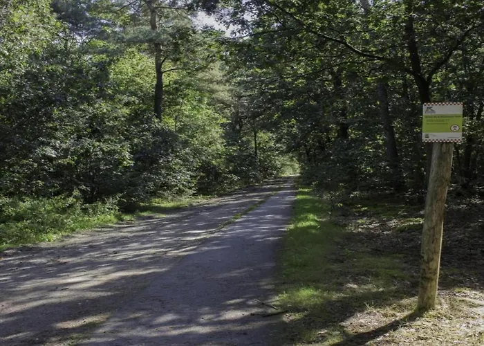 In Netherlands With Furnished Terrace Dom wakacyjny