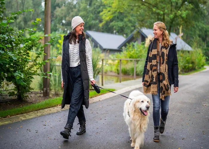 In Netherlands With Furnished Terrace * Oirschot