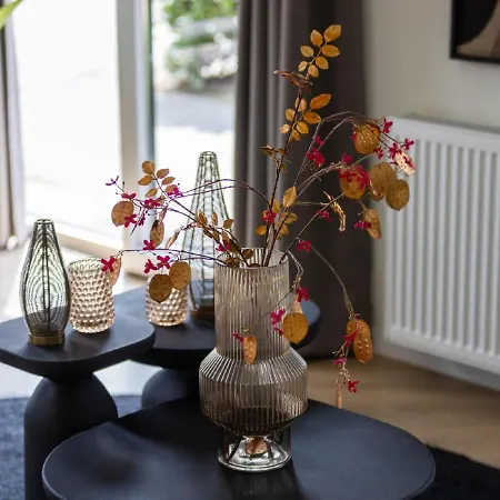 In Netherlands With Furnished Terrace Semesterbostad *