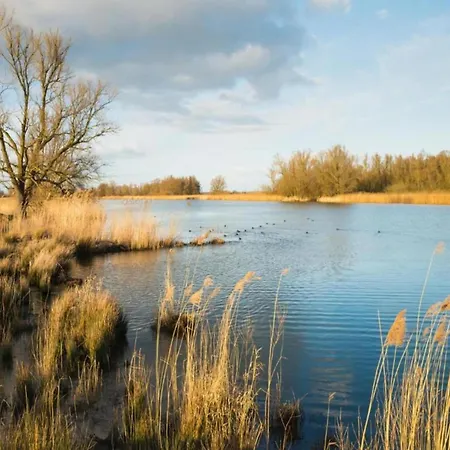 In Netherlands With Furnished Terrace *