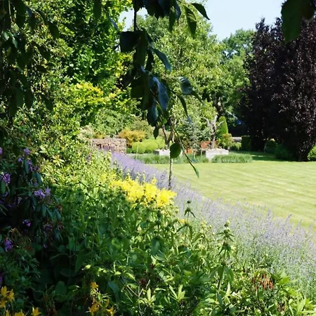 Beautiful With A Terrace, Located In A In Brabant *