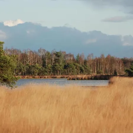 In Netherlands With Furnished Terrace Oirschot