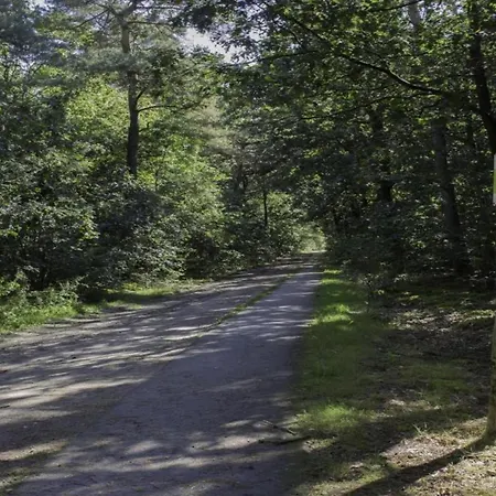 In Netherlands With Furnished Terrace Semesterbostad