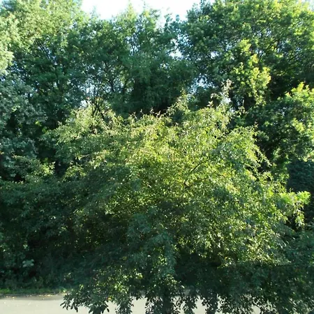 In Netherlands With Furnished Terrace *