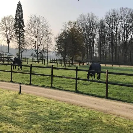 In Netherlands With Furnished Terrace Oirschot